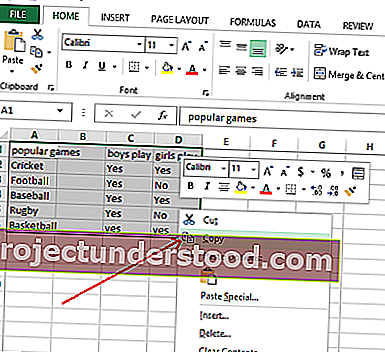 نسخة قائمة Excel Transppose