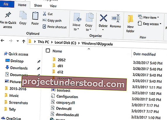 Folder peningkatan Windows 10 Delte